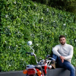 Mur Végétal Artificiel Extérieur Et Intérieur Prêt à Poser 1m X 1m Liseron -Promos Botanisia Magasin 6450ff1e91eb44.33870184