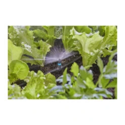 Gardena Micro-asperseur 180° Micro-drip - 13321-20 7 Gardena Micro-asperseur 180° Micro-drip - 13321-20 -Promos Botanisia Magasin 64595277aec892.77798528