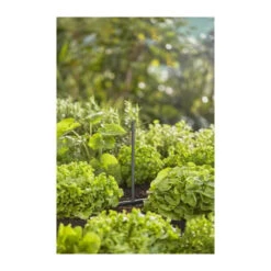 Gardena Tube Prolongateur Pour Micro-asperseur - 13326-20 -Promos Botanisia Magasin 645952894cd708.23649614