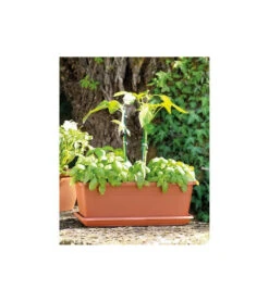Jardiniere Day R Cotto - Coloris Terre Rouge - 50cm -Promos Botanisia Magasin 645cf55c956699.84675029