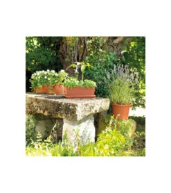 Jardiniere Day R Cotto - Coloris Terre Rouge - 50cm -Promos Botanisia Magasin 645cf55c99edc1.69867466