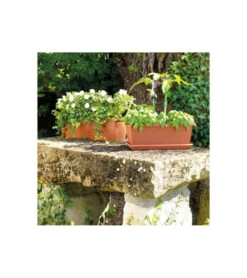 Jardiniere Day R Cotto - Coloris Terre Rouge - 50cm -Promos Botanisia Magasin 645cf55caebad8.93526619