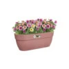 Elho - Pot De Fleurs - Vibia Campana Easy Hanger Large - Rose Poussiere - Balcon Extérieur - L 24.1 X W 46 X H 26.5 Cm 1 Elho - Pot De Fleurs - Vibia Campana Easy Hanger Large - Rose Poussiere - Balcon Extérieur - L 24.1 X W 46 X H 26.5 Cm -Promos Botanisia Magasin 645cf55e3ff887.01490207