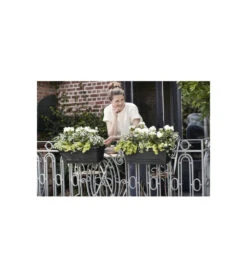 Elho Balconniere Green Basics Allin1 55 - Extérieur & Balcon - Xl - L 32,3 X W 56,4 X H 22,7 Cm - Vivre Noir -Promos Botanisia Magasin 645cf56390dbb6.90868122