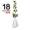 Ouigrow Tradi 18 Cultures -Promos Botanisia Magasin 645e2eafe1de32.90318836