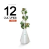 Ouigrow Tradi 12 Cultures 2 Ouigrow Tradi 12 Cultures -Promos Botanisia Magasin 645e2eb0c505b4.88324937