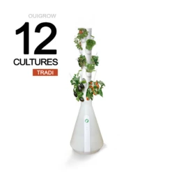 Ouigrow Tradi 12 Cultures