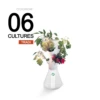 Ouigrow Tradi 6 Cultures -Promos Botanisia Magasin 64651e8f4265e4.07608862