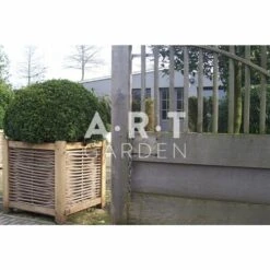 Jardinière En Chêne Avec Tressage Noisetier - Avec Bac Intérieur - 80 X 80 X 80 Cm -Promos Botanisia Magasin 64651e95141251.08931156