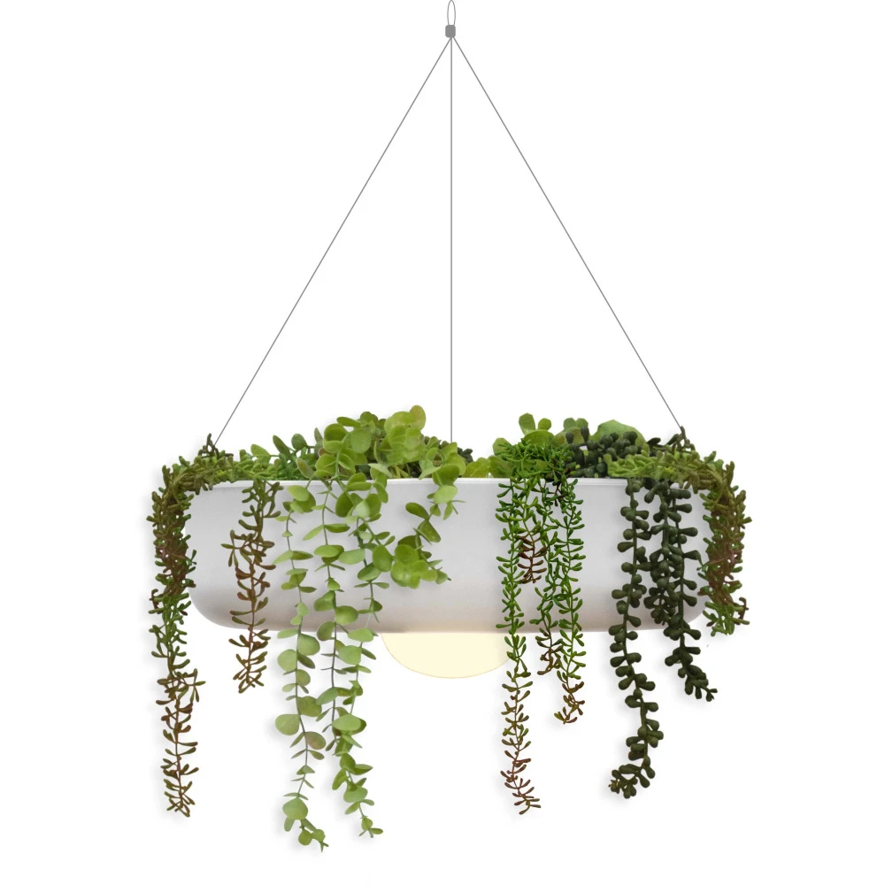 Jardinière Ronde Suspendue Avec éclairage Sans Fil Elba 39 Cm De Diamètre 3 Jardinière Ronde Suspendue Avec éclairage Sans Fil Elba 39 Cm De Diamètre