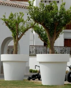 Pot De Fleurs Magnolia 160 ø160x152cm - Anthracite 7 Pot De Fleurs Magnolia 160 ø160x152cm - Anthracite -Promos Botanisia Magasin 6470a364705c04.06641420