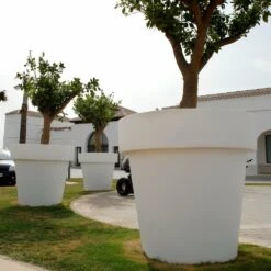 Pot De Fleurs Magnolia 120 ø120x114cm - Blanc -Promos Botanisia Magasin 6470a36c999712.75885788