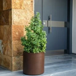 Pot De Fleurs Hortensia 80 ø80x80cm - Anthracite -Promos Botanisia Magasin 6470a3750c1f59.73942418