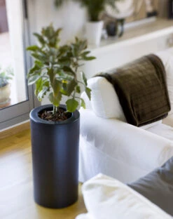 Pot De Fleurs Rond Palma 70 Noir Opaque ø35x70cm -Promos Botanisia Magasin 6470a378b67063.35409589