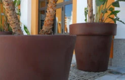 Pot De Fleurs Magnolia 120 ø120x114cm - Bronze 7 Pot De Fleurs Magnolia 120 ø120x114cm - Bronze -Promos Botanisia Magasin 6470a388b60707.83416245