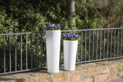 Pot De Fleurs Ficus 80 ø29x79cm - Blanc -Promos Botanisia Magasin 6470a391b5d372.36133991