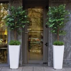 Pot De Fleurs Melisa 50 50x50x110cm - Noir -Promos Botanisia Magasin 6478c7ef469a04.08112862