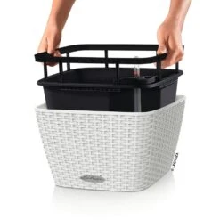 LECHUZA Jardinière Bacino Cottage All-in-one 30x30 Cm Blanc 9 LECHUZA Jardinière Bacino Cottage All-in-one 30x30 Cm Blanc -Promos Botanisia Magasin 64798954281919.42979465