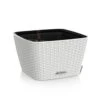 LECHUZA Jardinière Bacino Cottage All-in-one 30x30 Cm Blanc -Promos Botanisia Magasin 647989542ecb25.25891531