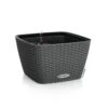 LECHUZA Jardinière Bacino Cottage All-in-one 30x30 Cm Noir Graphite -Promos Botanisia Magasin 6479895b546b40.96121380