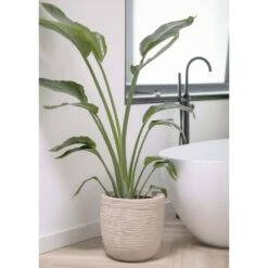 Pot à Fleurs Waste Rib 43x41 Cm Beige Terrazzo -Promos Botanisia Magasin 6479895e5992f2.75165785