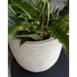 Pot à Fleurs Waste Rib 43x41 Cm Beige Terrazzo -Promos Botanisia Magasin 6479895e5d9788.64968332