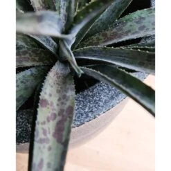 Pot à Fleurs Waste Smooth 35x34 Cm Gris -Promos Botanisia Magasin 6479895f3d13c8.20407758