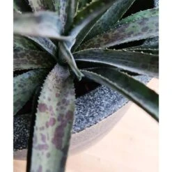 Pot à Fleurs Waste Smooth 43x41 Cm Gris -Promos Botanisia Magasin 6479896195b644.79787079