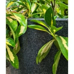 Pot à Fleurs Waste Smooth 43x41 Cm Gris -Promos Botanisia Magasin 647989619db2d1.88941631