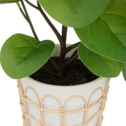 ATMOSPHERA Plante Artificielle Dans Pot En Céramique Et Rotin H 34 Cm -Promos Botanisia Magasin 64821b77f1afd7.11595530