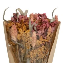 ATMOSPHERA Bouquet De Fleurs Séchées D. 19 X H. 48 Cm -Promos Botanisia Magasin 64821bb5da8fe9.89757871