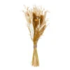ATMOSPHERA Bouquet De Fleurs Séchées D. 20 X H. 55 Cm -Promos Botanisia Magasin 64821bb870a261.80419617