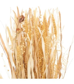 ATMOSPHERA Fagot De Fleurs Et Tiges Séchées D. 25 X H. 115 Cm -Promos Botanisia Magasin 64821bbdf34e96.52846136