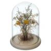 Fleurs Séchées Sous Cloche "folk" H26 Cm -Promos Botanisia Magasin 6483186be130e5.92092408
