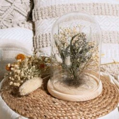 Fleurs Séchées Sous Cloche "folk" H26 Cm -Promos Botanisia Magasin 6483186be53c00.81250320