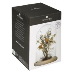Fleurs Séchées Sous Cloche "folk" H26 Cm -Promos Botanisia Magasin 6483186be980f5.89139318