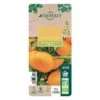 Mandarinier : C3L, Agriculture Biologique -Promos Botanisia Magasin 697332 012
