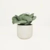 Succulente Artificielle Pot Effet Ciment 17cm 2 Succulente Artificielle Pot Effet Ciment 17cm -Promos Botanisia Magasin 6dfa688afc38b54f