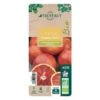 Oranger Moro : AB C3L 2 Oranger Moro : AB C3L -Promos Botanisia Magasin 750101 007