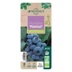 Myrtillier 'Patriot' Bio : Pot De 1,5 Litres -Promos Botanisia Magasin 791605 005