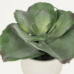 Succulente Artificielle Pot Effet Ciment 17cm -Promos Botanisia Magasin 7c639e557cc4fdd4