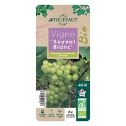 Vigne 'Seyval Blanc' AB - Pot 1,5 L -Promos Botanisia Magasin 827056 002