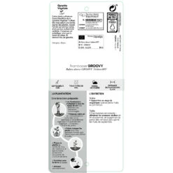 Framboisier Groovy®'Jdeboer005':pot 5L -Promos Botanisia Magasin 831270 1432924