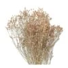 Fleurs Séchées Gypsophile Blanc -Promos Botanisia Magasin 876324 001