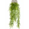 Emerald Asperges Plumosus Artificielle 80 Cm -Promos Botanisia Magasin 8ed81fd435ef0b6d