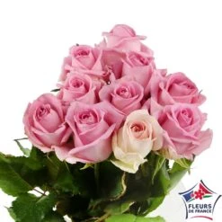 Botte 10 Roses ''Fleurs De France'' H.50cm Coloris Variables -Promos Botanisia Magasin 907464 003