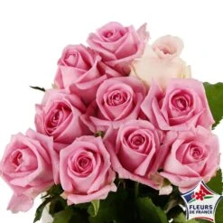 Botte 10 Roses ''Fleurs De France'' H.50cm Coloris Variables -Promos Botanisia Magasin 907464 004