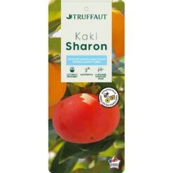 Kaki "Sharon" 1/2T Pot 15L -Promos Botanisia Magasin 952753 003