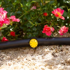 100 Goutteurs Reglables 0-40 L/h Pour Arrosage Goutte à Goutte -Promos Botanisia Magasin 955363 1713454