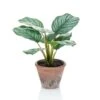 Emerald Calathea Orbifolia Artificiel Terra 32 Cm En Pot -Promos Botanisia Magasin ac5e1c411b53827f